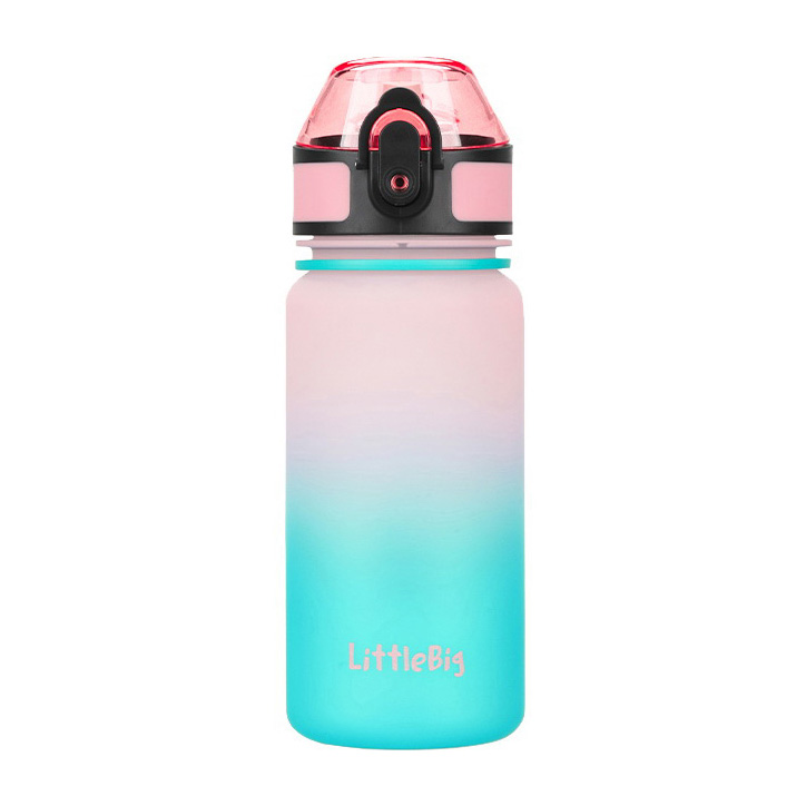 Littlebig Waterbottle 3020 (350 ml, pink/blue)